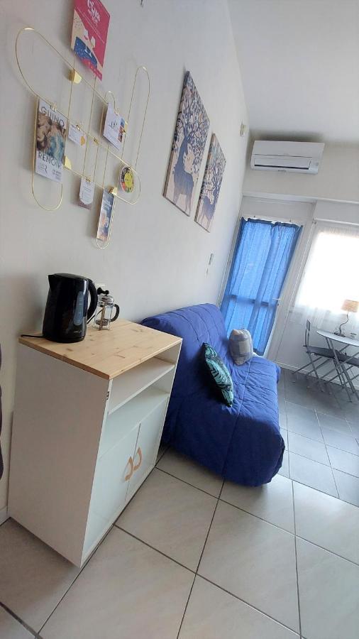 Chez Leslie Et Vincent : Logements Climatises Avec Parking Privatif ペルピニャン エクステリア 写真